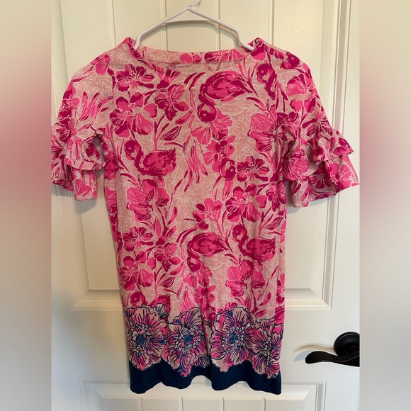 Lilly Pulitzer Other - Lilly Pulitzer Dress